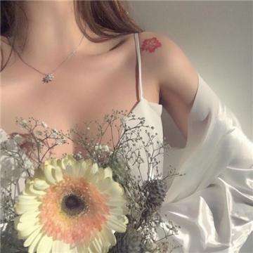 塔之征服破解版下载